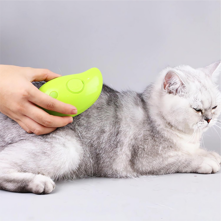 Cat Steam Brush